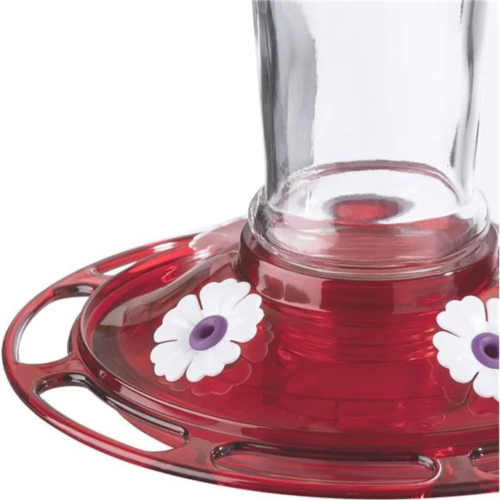 Bird Health+ Ruby Hummingbird Feeder, Glass Hummingbird Feeders for Outdoors